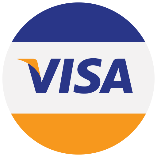 Visa payment method logo